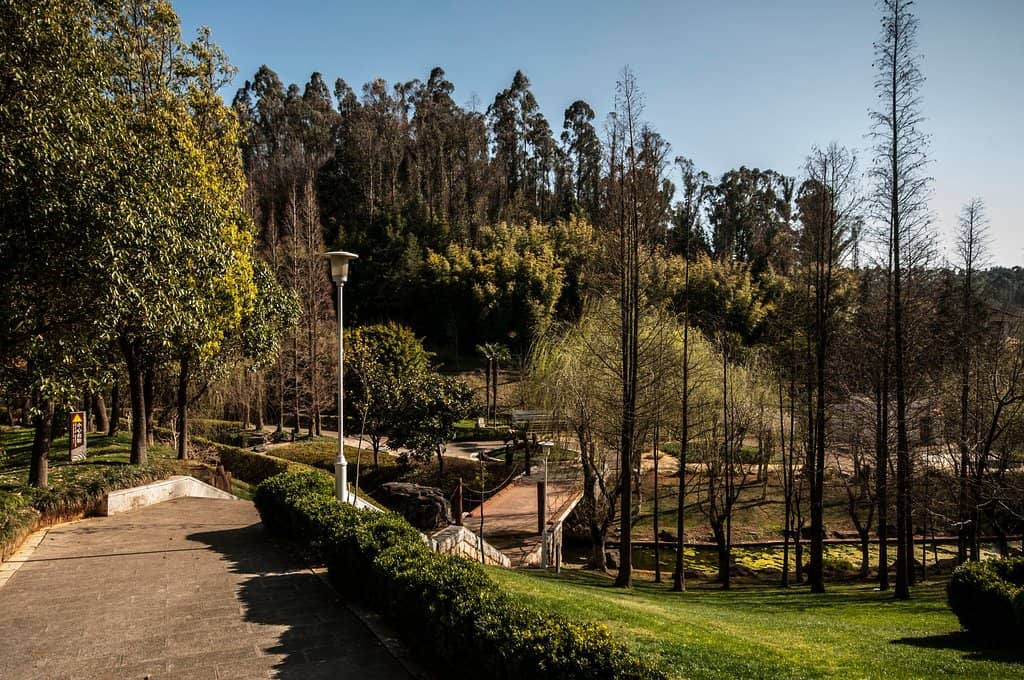 Themed Gardens