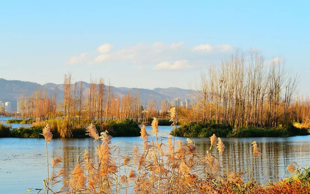 Dianchi Lake Views