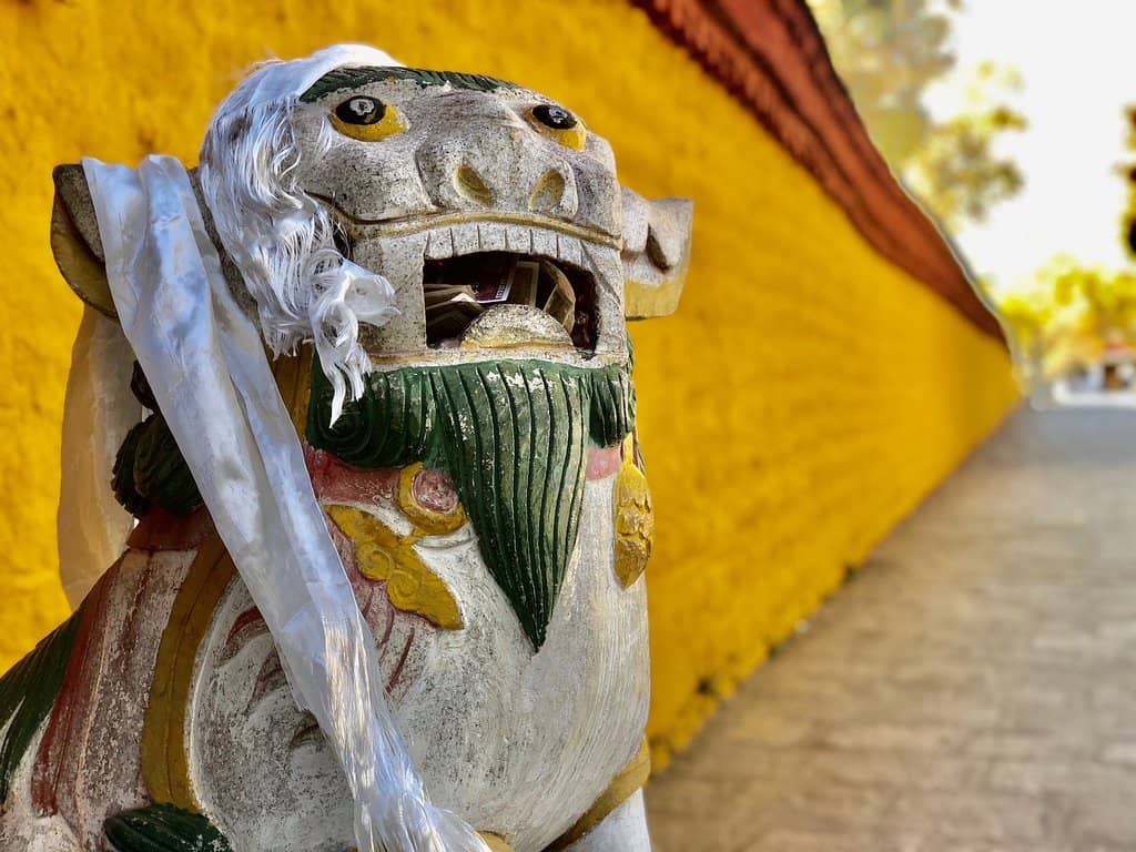 Yogurt Festival (Sho Dan)