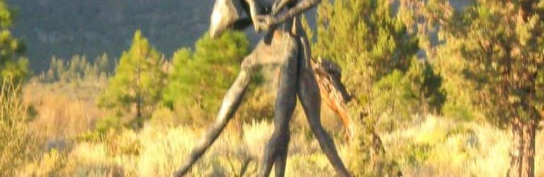 Vertical photo