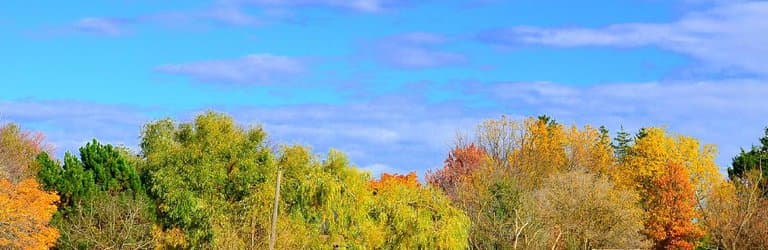Colours of Toogood pond