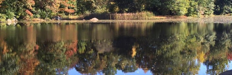 Connecticut College Arboretum