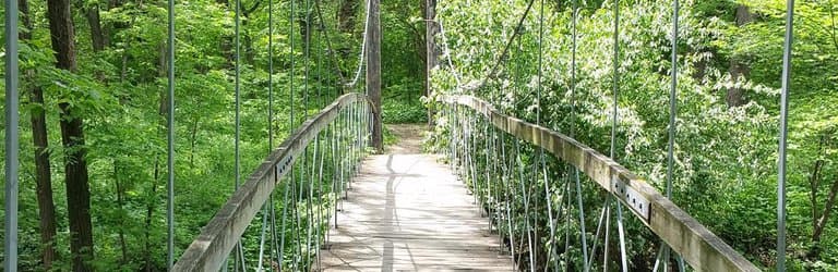 Wilderness park bridge