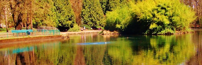 view of Firwood Lake (the pond)