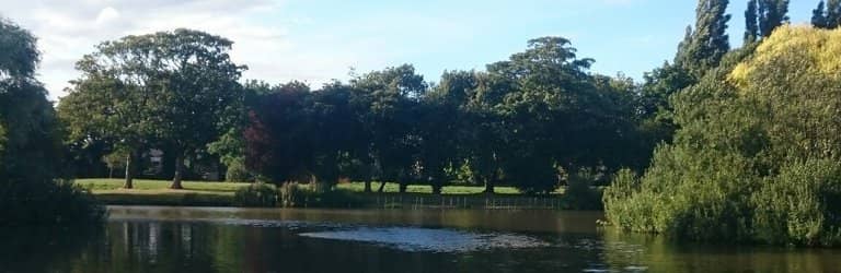 Ponds and Wildflowers