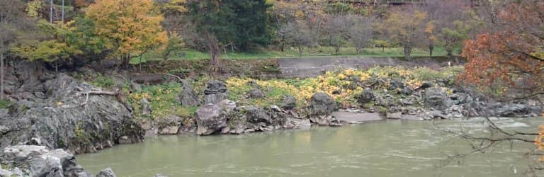 Abandoned Railway Track
