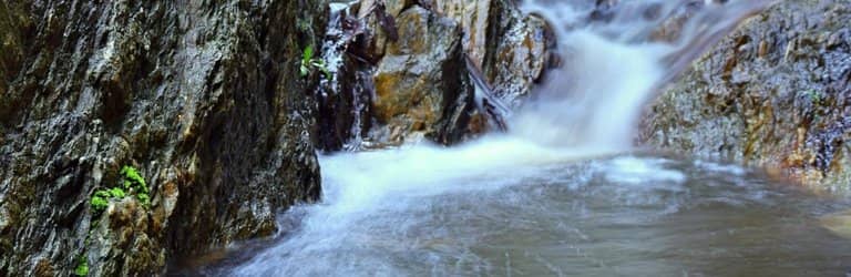 Waterfall Gully Trails