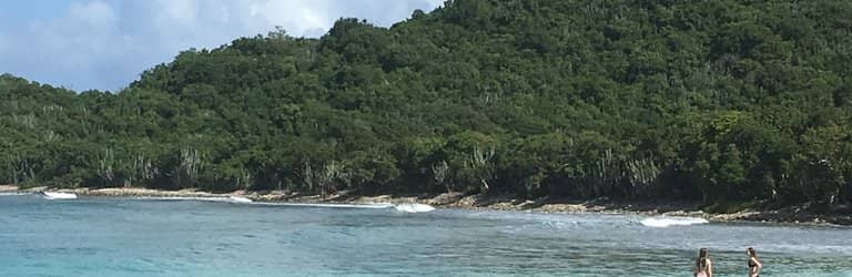The Cove Itself