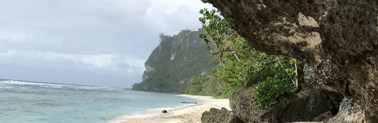 Snorkeling and Marine Life