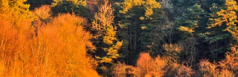 Ogden Clough Waterfall