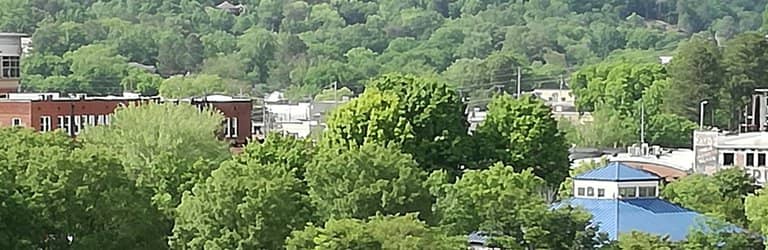 Photographic Opportunities