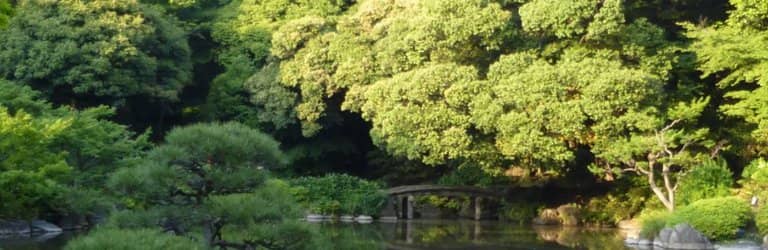 Western-Style Mansion