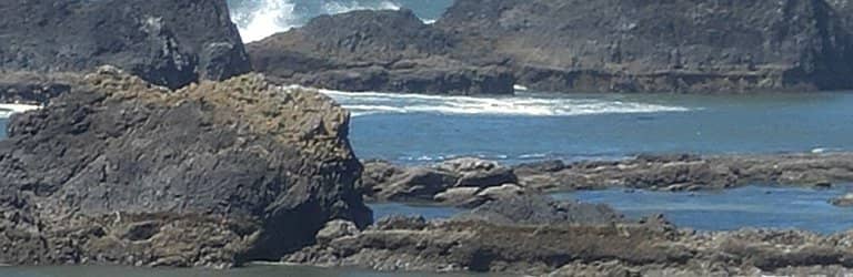 Dramatic Ocean Views