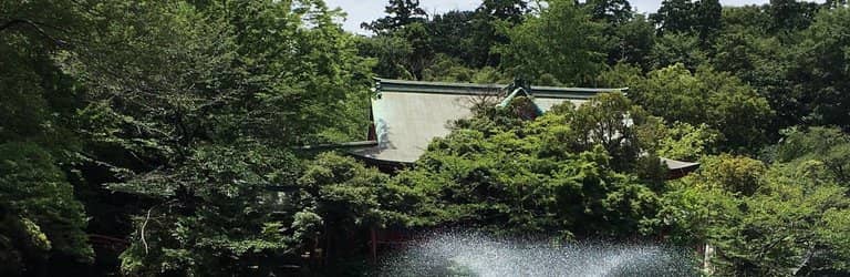 Reflections on the Pond