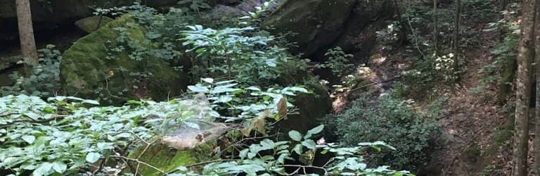 Sandstone Boulders