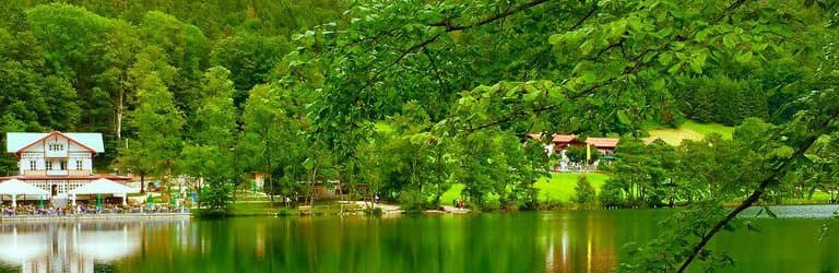 Thumsee