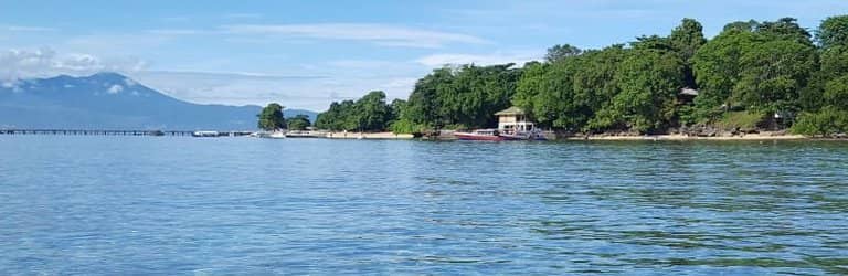 Abundant Turtle Sightings