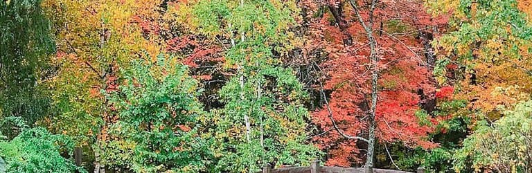 Odell Park