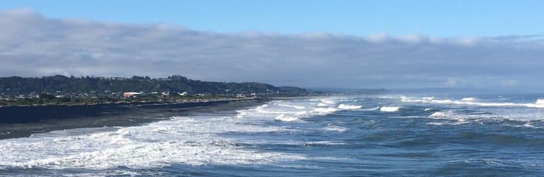 Surfs up!