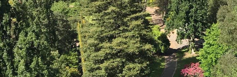 Waterfront Walking Trails