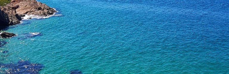 Seal Colony