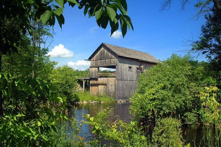 Horse-Drawn Carriage Ride
