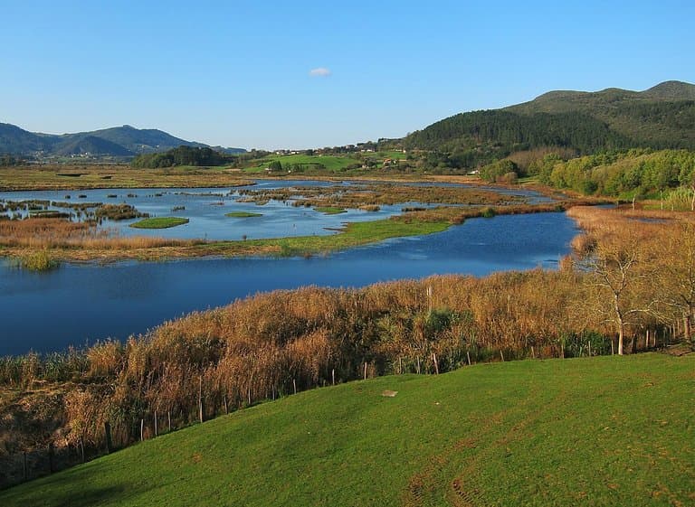 Vistas desde el Urdaibai Bird Center