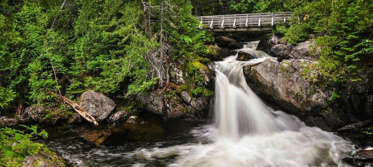 Williams falls