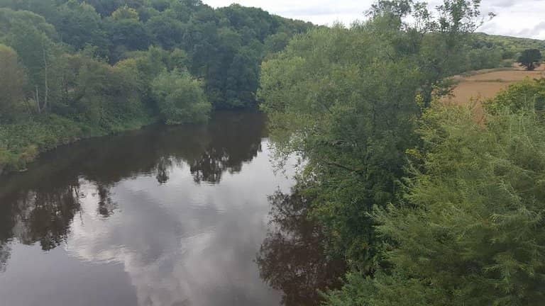 Riverside Walks