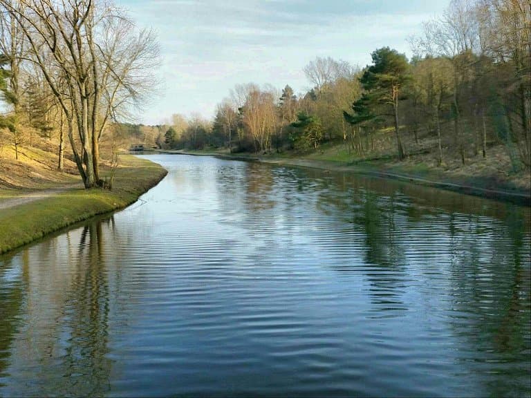 Amsterdamse Waterleidingduinen De Zilk