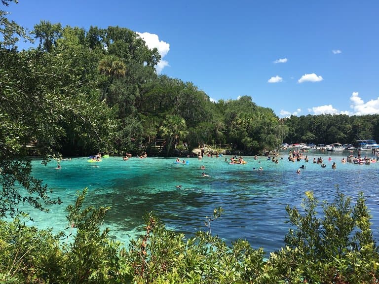 Silver Glen Springs