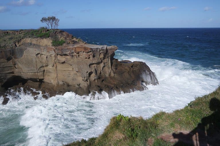 Snapper Point, you can drive all the way, we saw a pod of whales