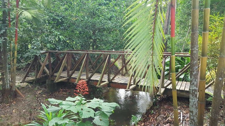 Quite a sturdy wooden bridge
