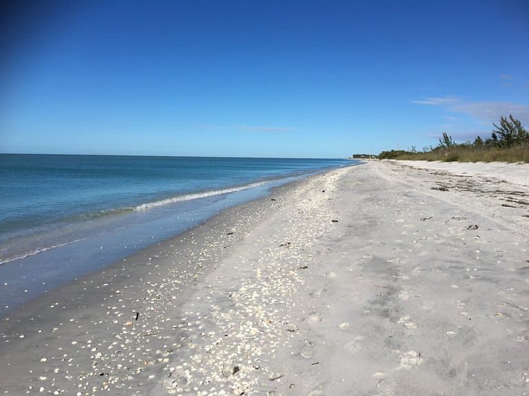 Don Pedro Island State Park