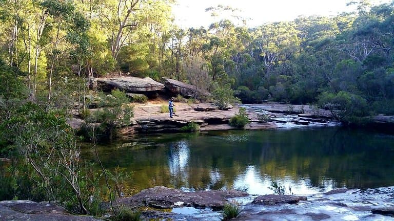 Hike the Heathcote to Waterfall Track