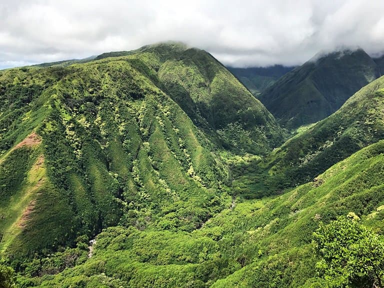 Waihee Ridge Trail Maui