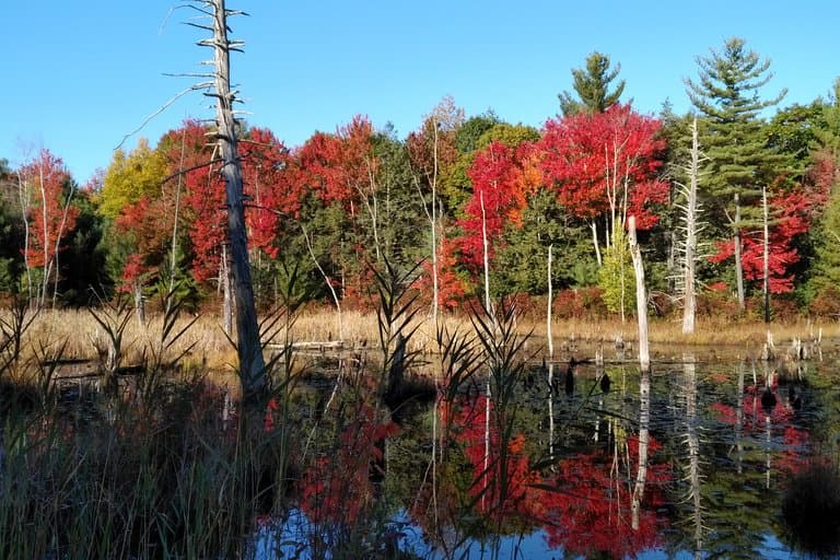 Monson Center Milford Hollis