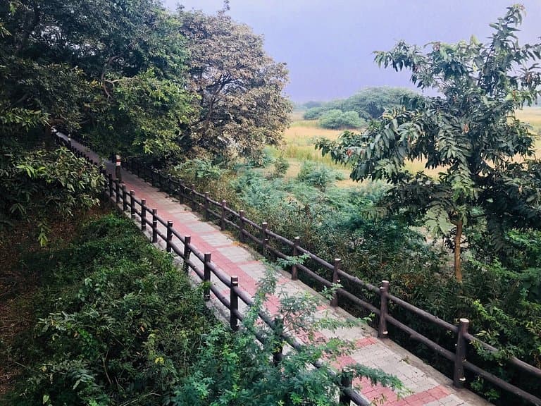 Nawabganj Bird Sanctuary Lucknow