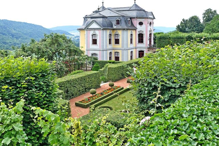 Blick vom Garten aufs Rokokoschloss (Juni 2018)