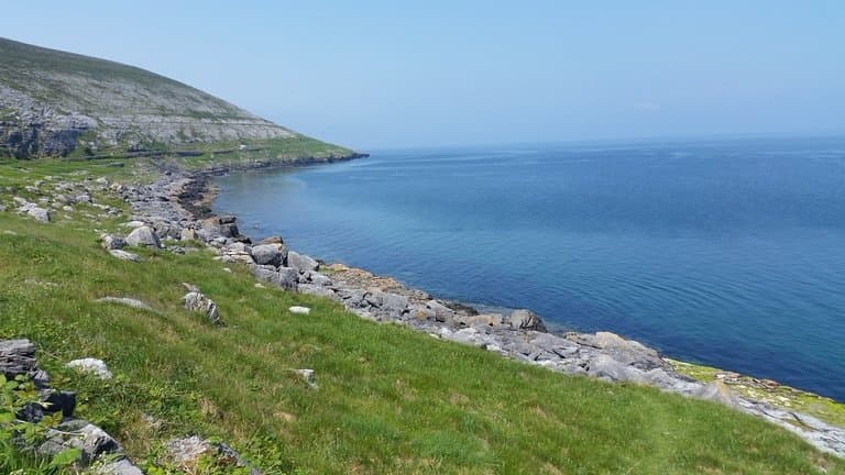 BURREN PARK