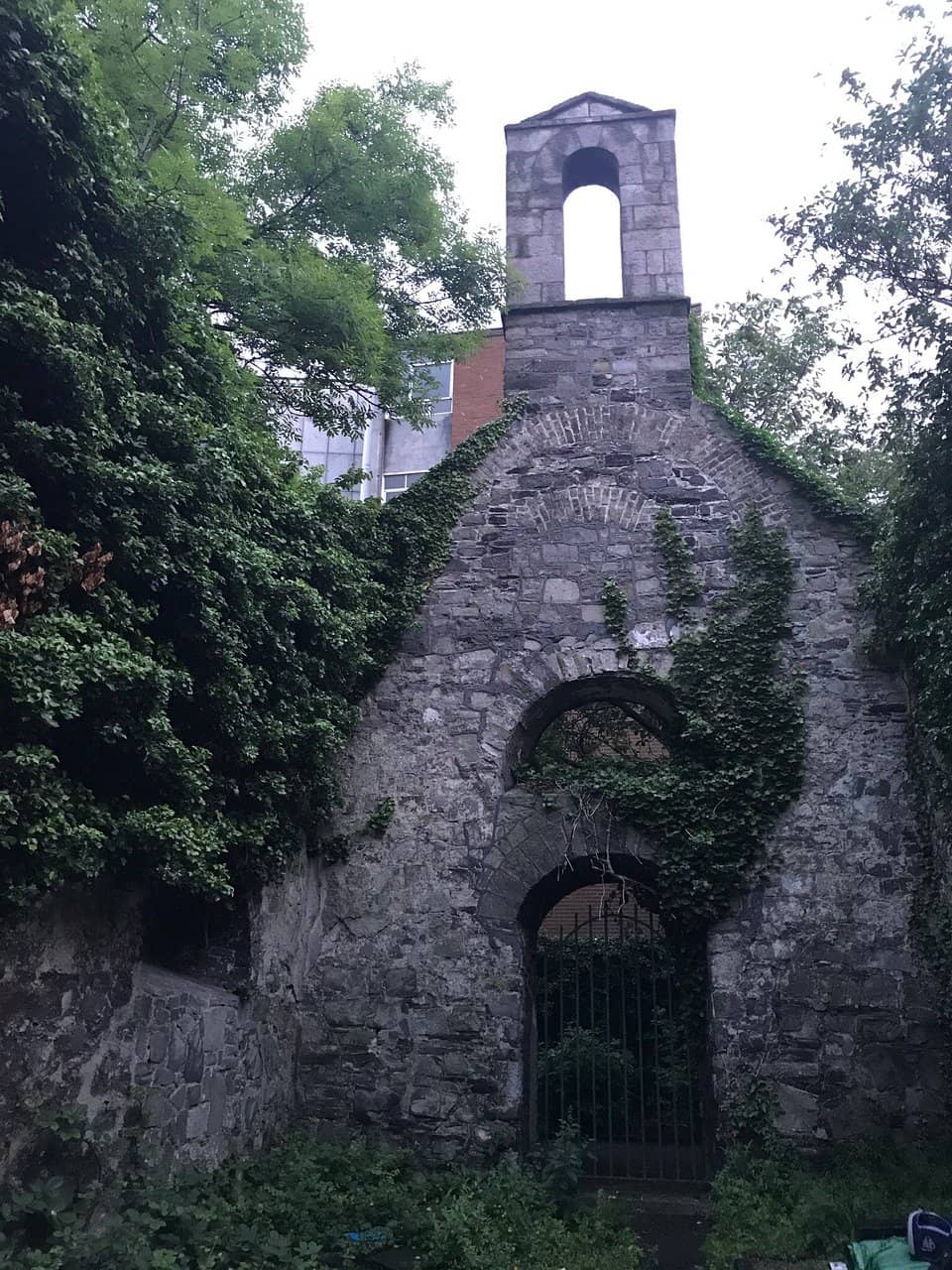 Tranquil Green Space