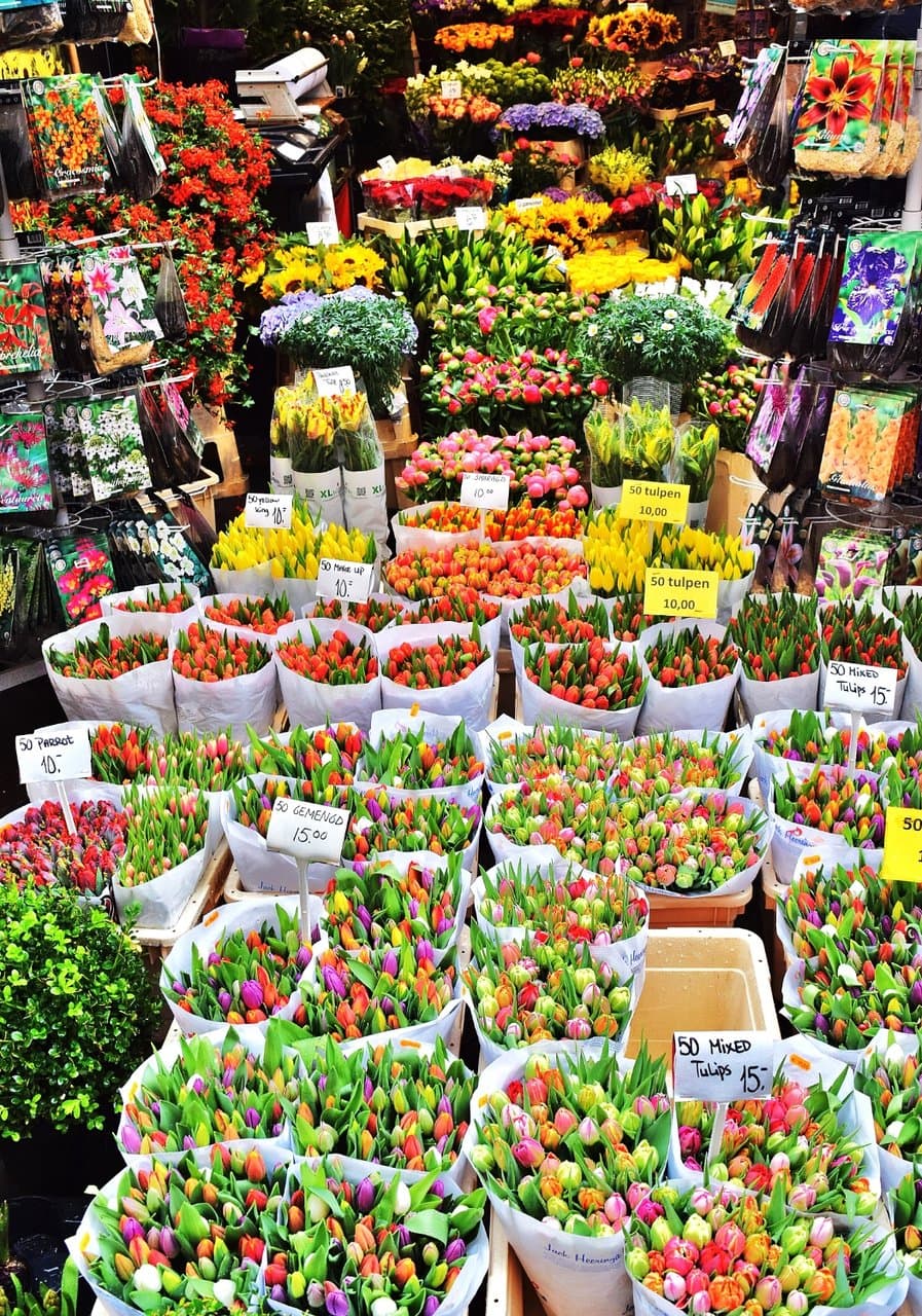 Kouter Flower Market