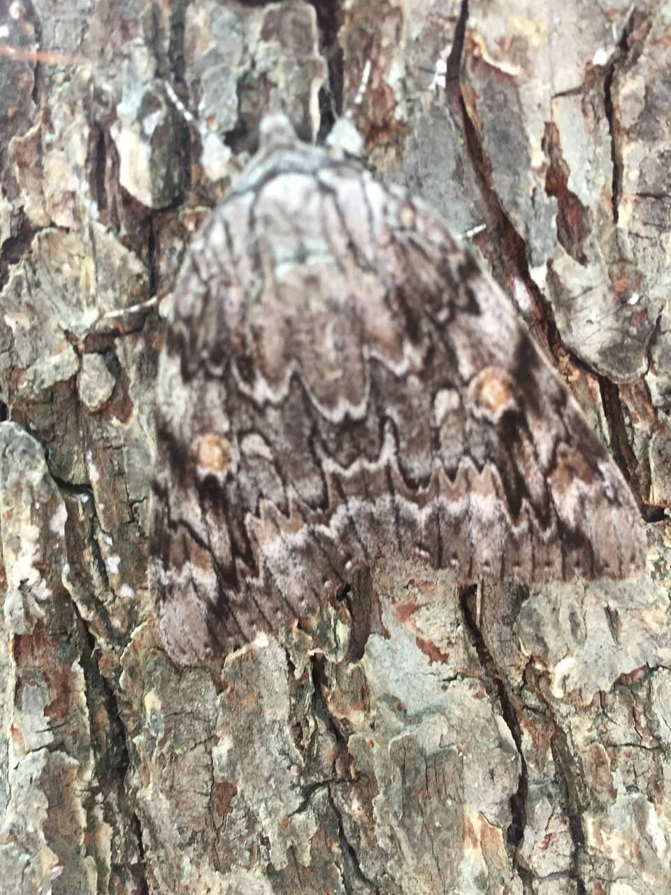 Interpretive Center