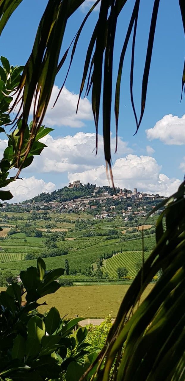 Fattoria Paradiso