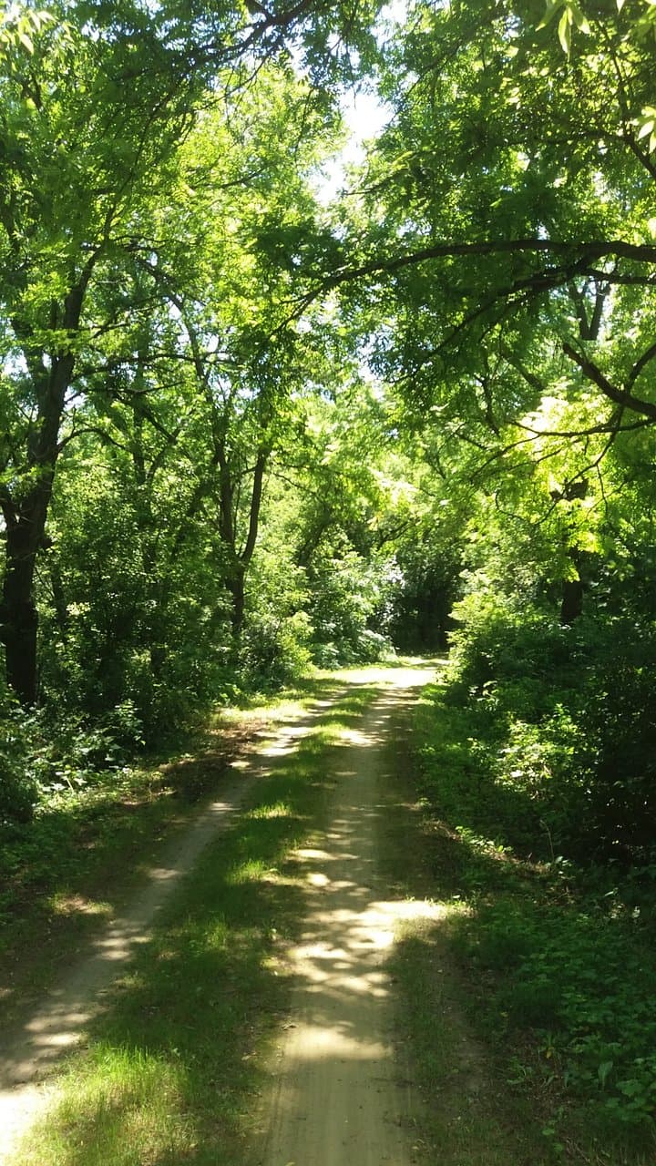 Trail view