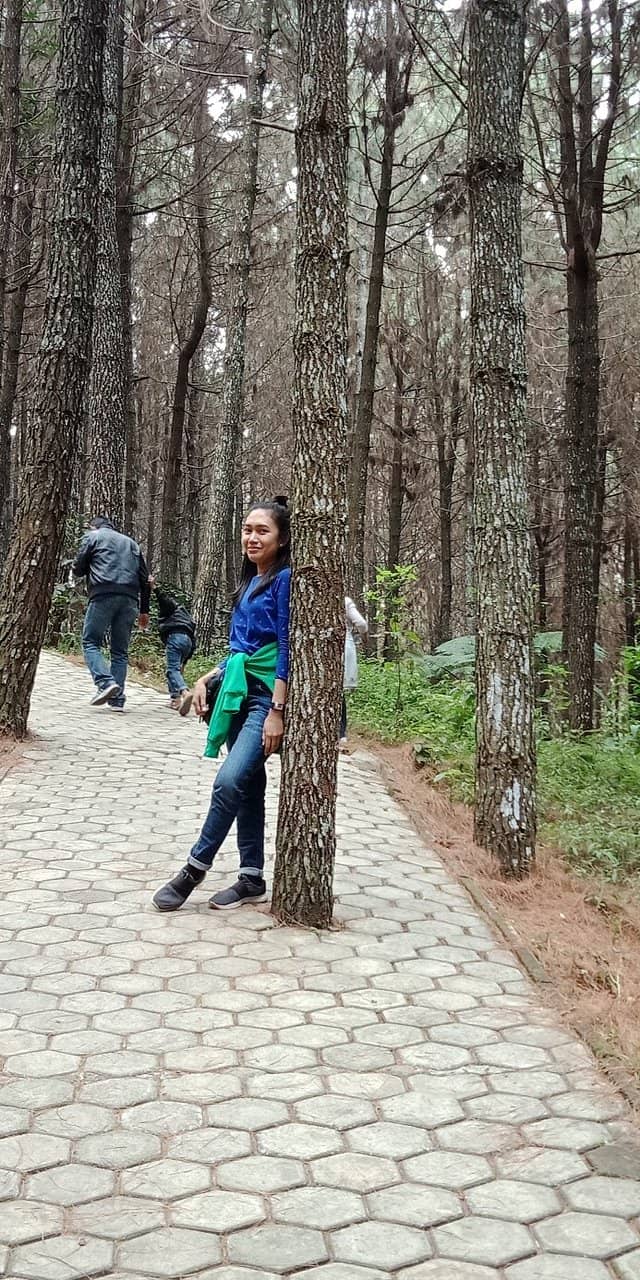 Vertical photo