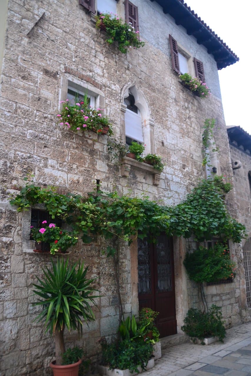 Внешний вид