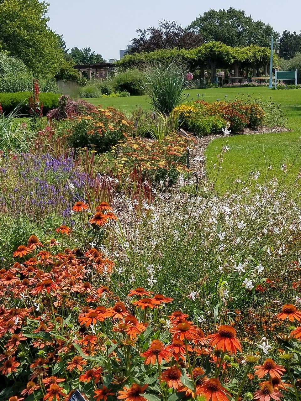 The newest perennial bed