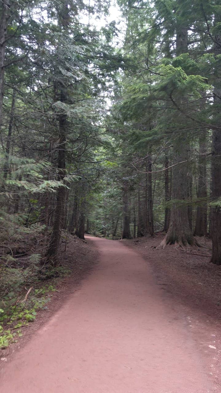 Boardwalk Path
