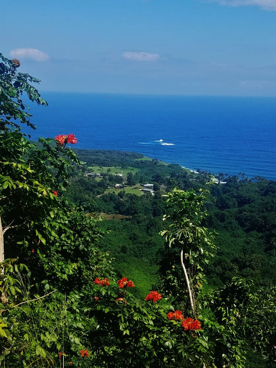 Ocean Vistas